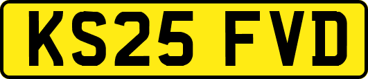 KS25FVD