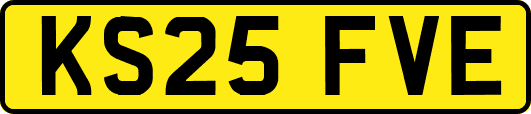 KS25FVE
