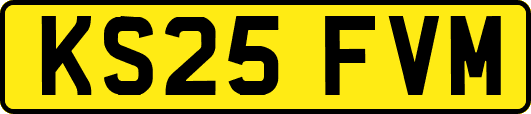 KS25FVM