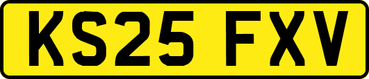 KS25FXV