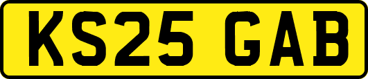 KS25GAB