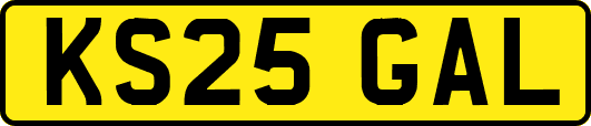 KS25GAL