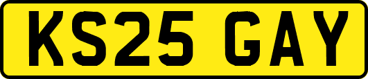 KS25GAY