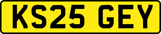 KS25GEY