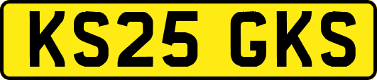 KS25GKS
