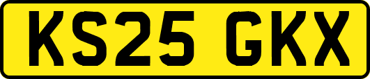 KS25GKX