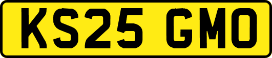 KS25GMO