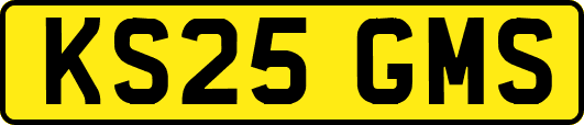 KS25GMS