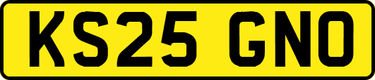 KS25GNO