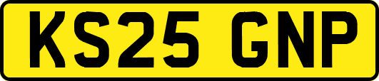 KS25GNP