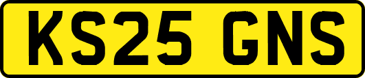 KS25GNS