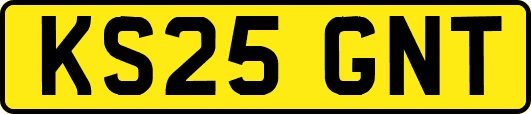 KS25GNT
