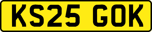 KS25GOK