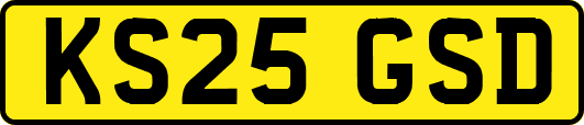 KS25GSD
