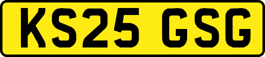 KS25GSG
