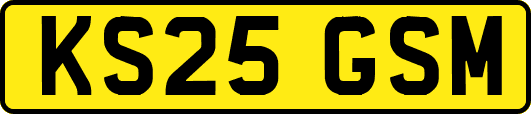 KS25GSM