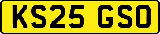 KS25GSO