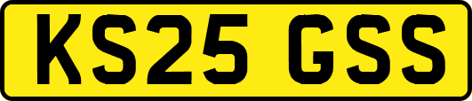 KS25GSS