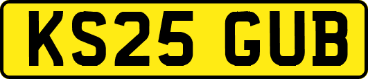 KS25GUB
