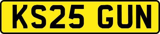 KS25GUN