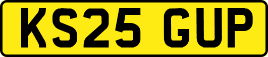 KS25GUP