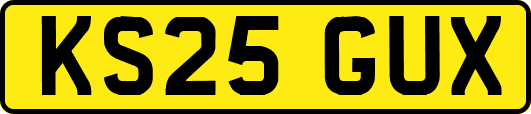 KS25GUX