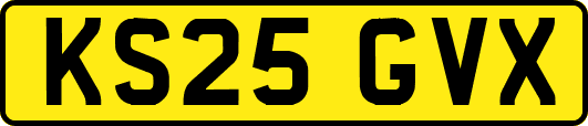 KS25GVX