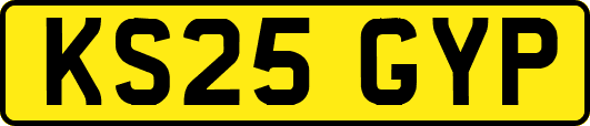 KS25GYP