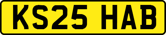 KS25HAB