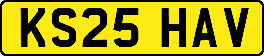 KS25HAV