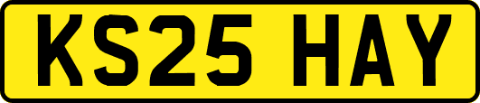 KS25HAY