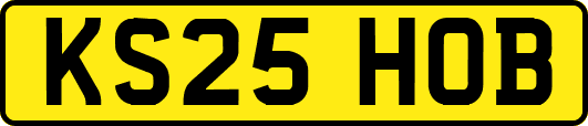 KS25HOB
