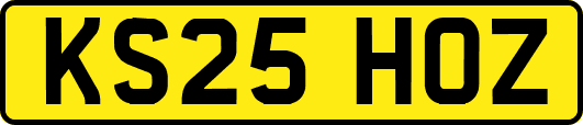 KS25HOZ