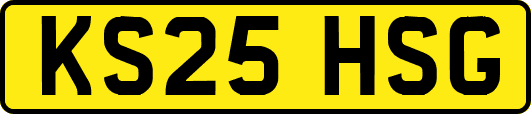 KS25HSG