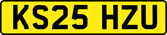KS25HZU