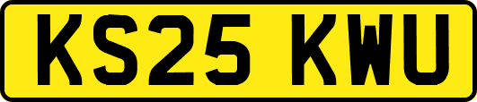 KS25KWU