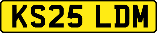 KS25LDM
