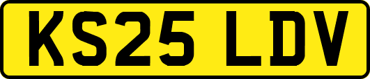 KS25LDV
