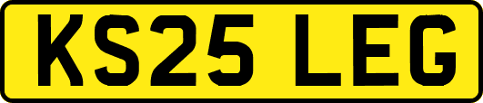 KS25LEG