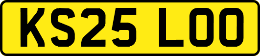 KS25LOO