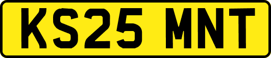 KS25MNT