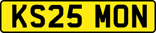 KS25MON