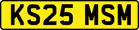 KS25MSM