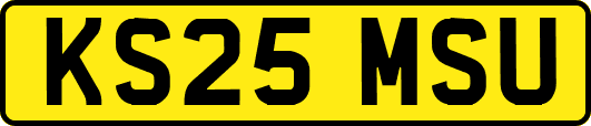 KS25MSU