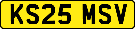 KS25MSV