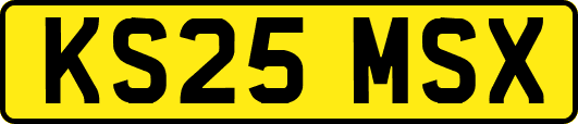 KS25MSX