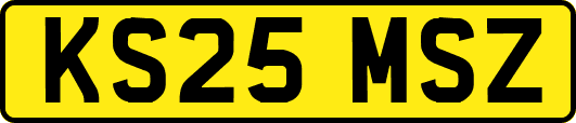 KS25MSZ