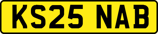 KS25NAB