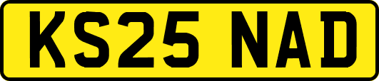 KS25NAD