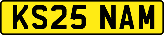 KS25NAM